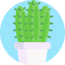 cactus icon