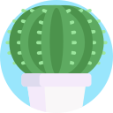 cactus icon