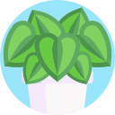 calathea icon