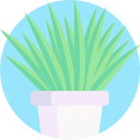 planta araña icon