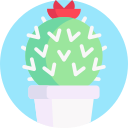 cactus icon