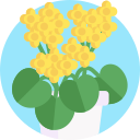 kalanchoe icon