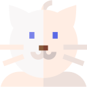 gato