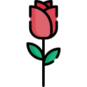 rosa icon