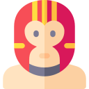 luchador icon