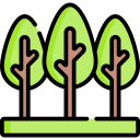 bosque icon