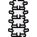 columna vertebral