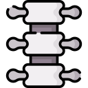 espina dorsal 