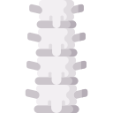 columna vertebral icon