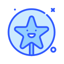 estrella icon