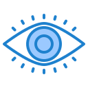 ojo icon