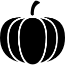 vegetales de calabaza icon