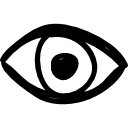 Eye closeup icon
