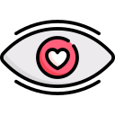 ojo icon