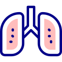 pulmones