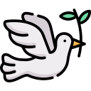 pomba 