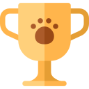 trofeo icon