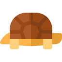 tortuga icon