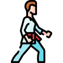 shotokan icon