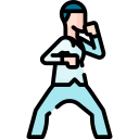 bajiquan icon