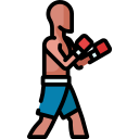 boxeo icon