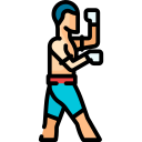 lethwei icon