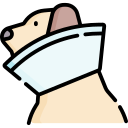 collar isabelino icon