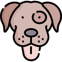 perro icon