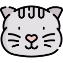 gato icon