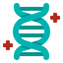 estructura del adn 