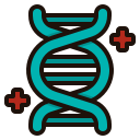 estructura del adn 