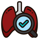 pulmones icon