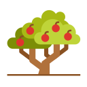 Árbol de frutas icon