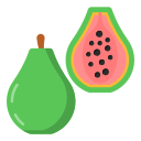 guayaba icon