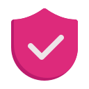 seguridad icon