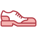 zapato icon