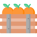 fruta icon