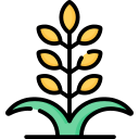 planta de trigo icon