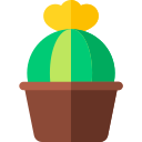 cactus icon