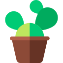 cactus icon