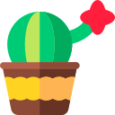 cactus icon