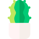 cactus icon