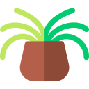 planta araña icon