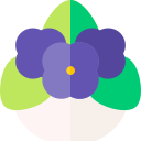 violeta icon