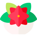 flor de pascua 