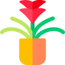 guzmania icon