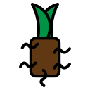 plantas icon