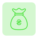 dinero icon