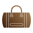 bolso icon