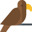 Águila icon